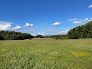 Ashton Court Ranger led conservation group - Monday and Thursday AM
