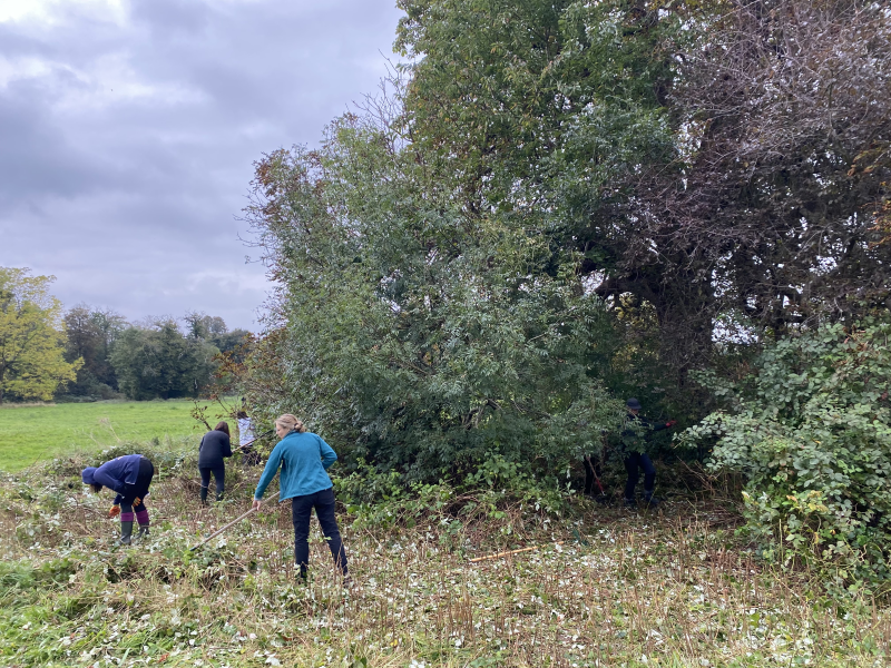 Blaise Castle volunteer programme - Wednesday AM
