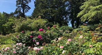 Gardening Group with Ashton Court gardening team - Tuesday and Thursday AM