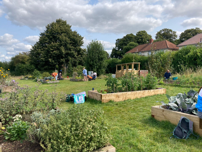 Volunteer Garden Leader at Hillfields Community Garden