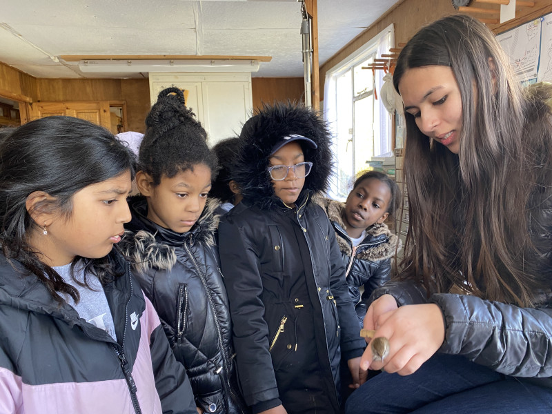 Youth nature engagement volunteers