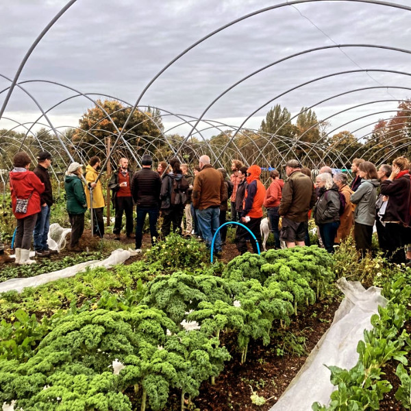 We are in need of some gardening tools for our community market garden project.