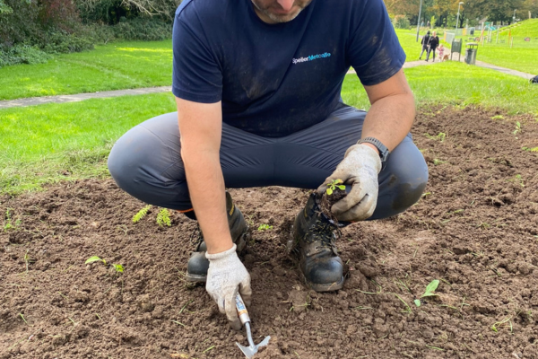 In park volunteering for corporate groups across Bristol