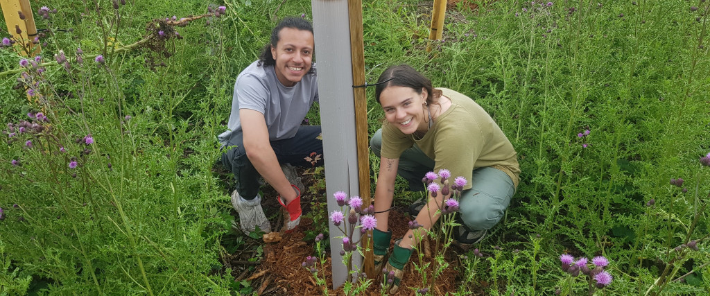 Community Woodland Public Volunteering Day
Saturday 12 July, 11:00am - 3:00pm