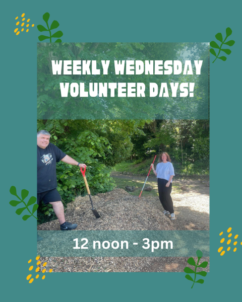 Community Garden Volunteer Sessions – Wednesdays 12–3pm