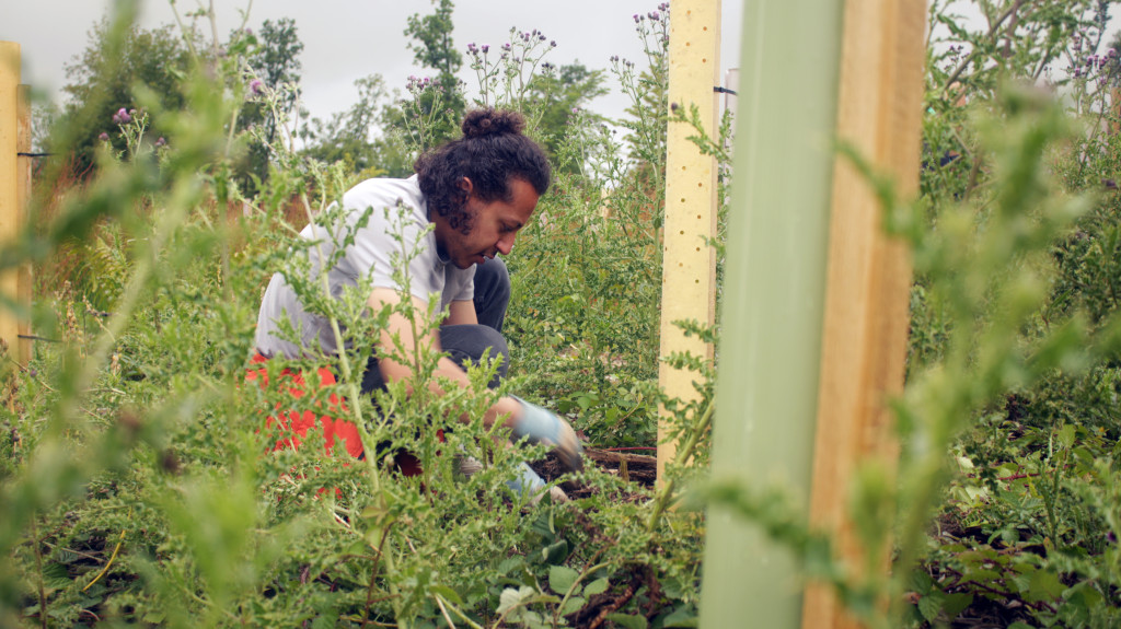 Community Woodland Public Volunteering Day
Saturday 11 October, 11:00am - 3:00pm