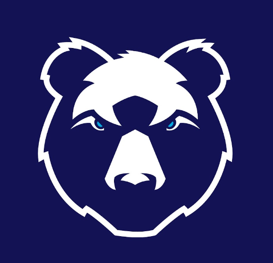 Bristol Bears Women Match Day Volunteers