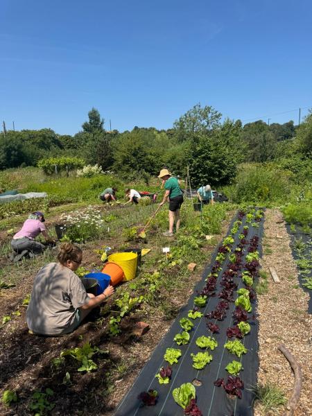 Grow Leader Volunteer Coordinator - Voluntary Role