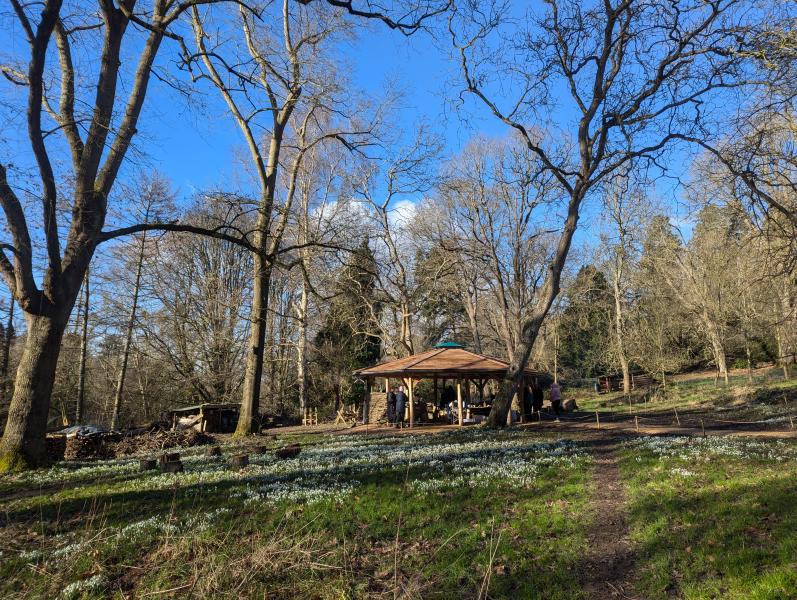 The Oak Tree Project - a woodland wellbeing group with free transport