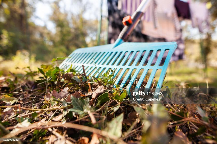 2 volunteers to help with a garden Clearance for a vulnerable adult in North Bristol