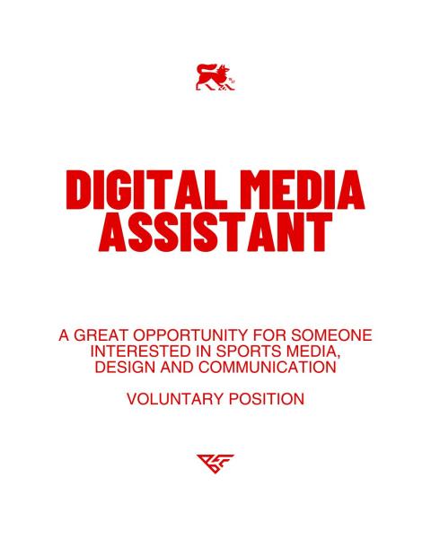 Digital Media Assistant ~ Brislington Football Club ~ Media & Creative Team
