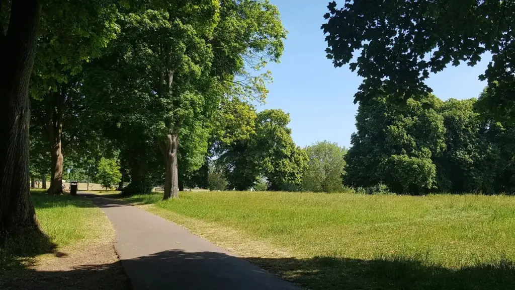 Corporate partners wanted for Eastville Park’s accessible park project