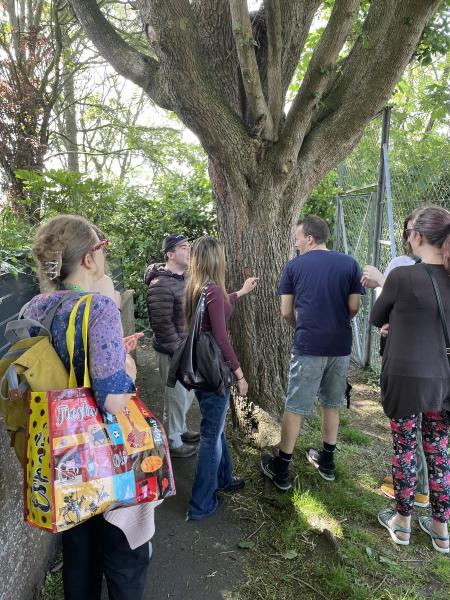 Become a Sensory Walk Leader!