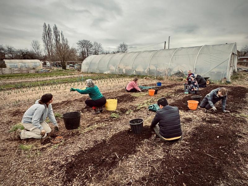 We’re looking for new volunteers to join us at Grow Wilder on Wednesdays or Fridays, 9.30am–3.30pm.