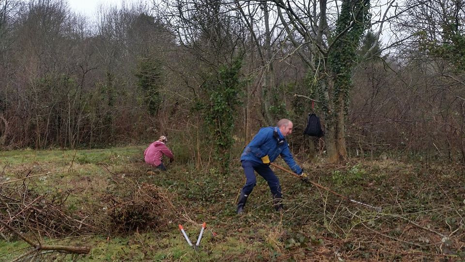 Cancelled - Bramble Bash & Nature Reserve Spring Tidy Up - Sat 25th ...